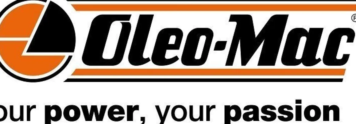 OLEO MAC OM LINE PZU 65 DCS AGREGAT GENERATOR PRĄDOTWÓRCZY 3x230V AVR 5,5 KW - OFICJALNY DYSTRYBUTOR - AUTORYZOWANY DEALER OLEO MAC