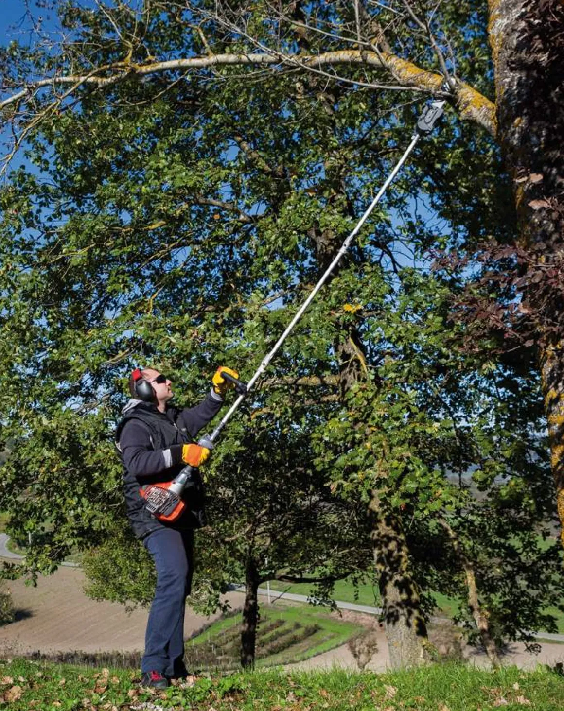OLEO-MAC PPH250 OKRZESYWARKA PIŁA PILARKA PRZECINARKA SPALINOWA ŁANCUCHOWA PODKRZESYWARKA DO DREWNA NA WYSIĘGNIKU PPH 250 - OFICJALNY DYSTRYBUTOR - AUTORYZOWANY DEALER OLEO MAC