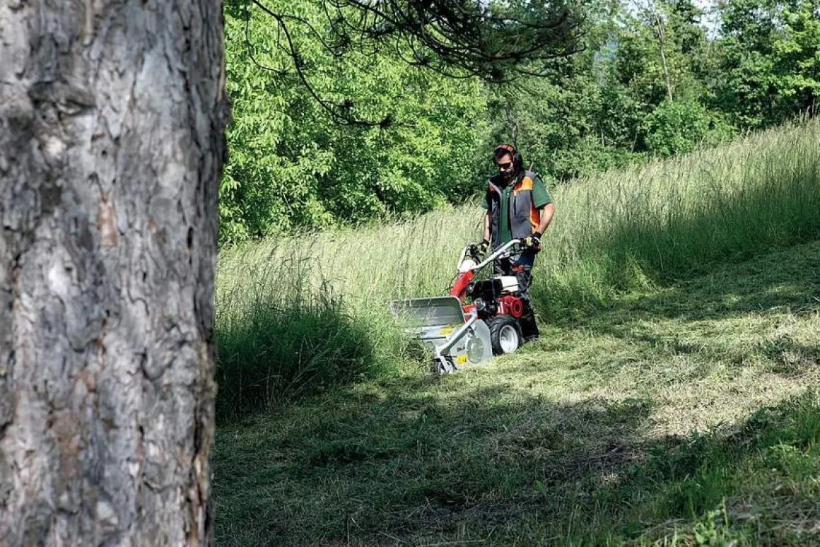 OLEO MAC WB 65 K1100H KARCZOWNICA KARCZOWNIK PROFESJONALNA KOSIARKA BIJAKOWA DO TRAWY OGRODOWA SPALINOWA Z NAPĘDEM KLASA PREMIUM 68249023E5 - OFICJALNY DYSTRYBUTOR - AUTORYZOWANY DEALER OLEO-MAC