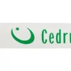 Prowadnica 18 3/8 1.3mm Cedrus PO18-50NR
