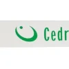 Prowadnica 18 .325 1.5mm 72E 11Z Cedrus PO18-58EH