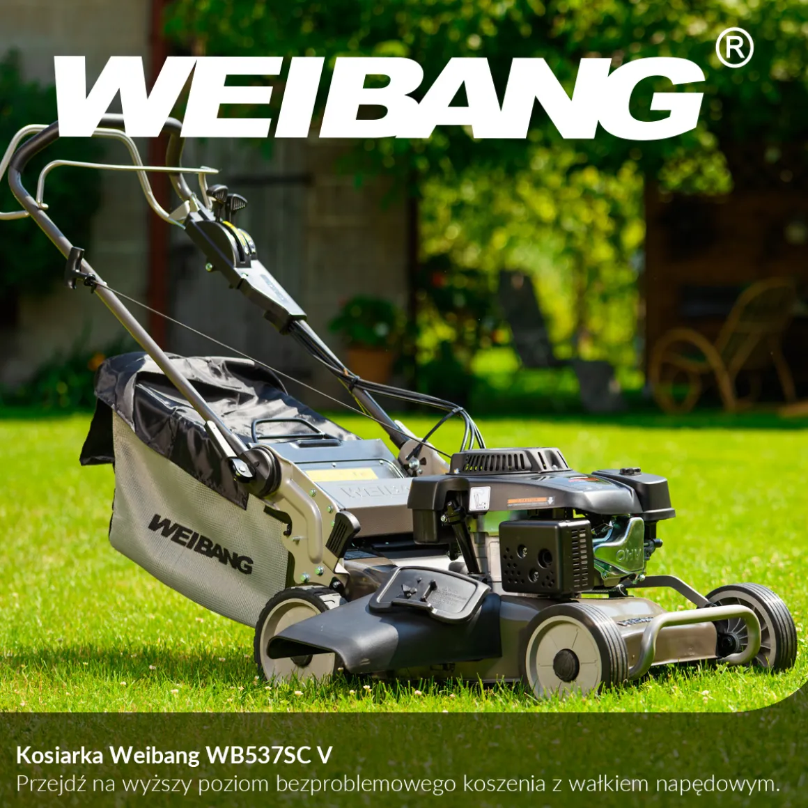 WEIBANG WB537 SC V 3IN1 BBC KOSIARKA SPALINOWA DO TRAWY Z NAPĘDEM WAŁ KARDANA / SPRZĘGŁO / PROFESJONALNA 6.5KM / 53cm - OFICJALNY DYSTRYBUTOR - AUTORYZOWANY DEALER WEIBANG