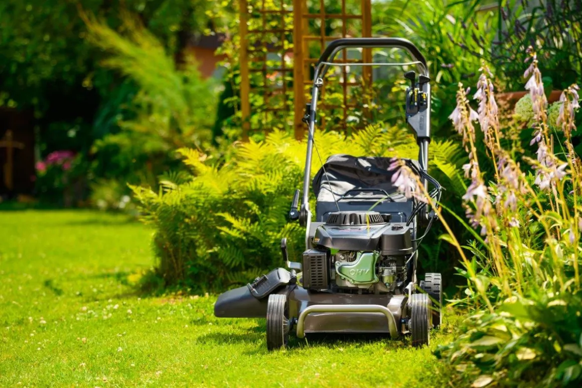 WEIBANG WB537 SC V 3IN1 KOSIARKA SPALINOWA DO TRAWY Z NAPĘDEM WAŁ KARDANA / PROFESJONALNA 6.5 KM / 53 cm - OFICJALNY DYSTRYBUTOR - AUTORYZOWANY DEALER WEIBANG