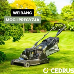 WEIBANG WB567SK V-R KOSIARKA SPALINOWA DO TRAWY Z NAPĘDEM I ROLKĄ UGNIATAJĄCĄ 4.5KM / 56cm - OFICJALNY DYSTRYBUTOR - AUTORYZOWANY DEALER WEIBANG