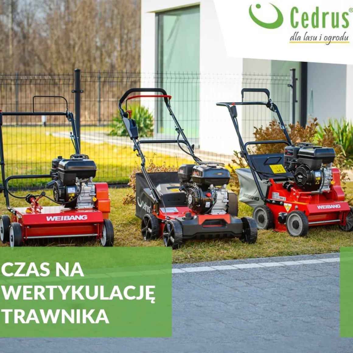 Wertykulator spalinowy Weibang WB384 RB silnik Briggs&Stratton