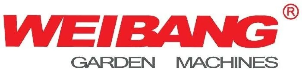 Wertykulator spalinowy Weibang WB384 RB silnik Briggs&Stratton