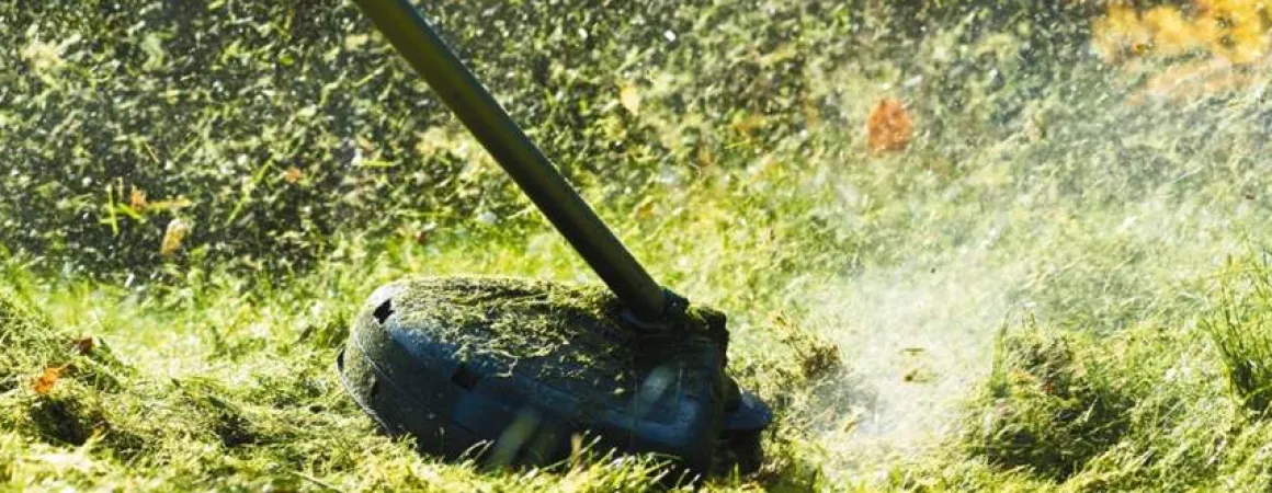 ŻYŁKA TNĄCA OLEO-MAC Green Line 3mm / 223 m. DO KOSY PROFIL OKRĄGŁY SZPULA - OFICJALNY DYSTRYBUTOR - AUTORYZOWANY DEALER OLEO MAC