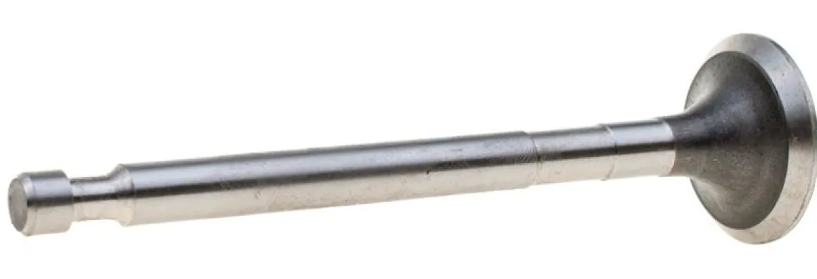 Zawór wydechowy Honda G200F 8R57-26